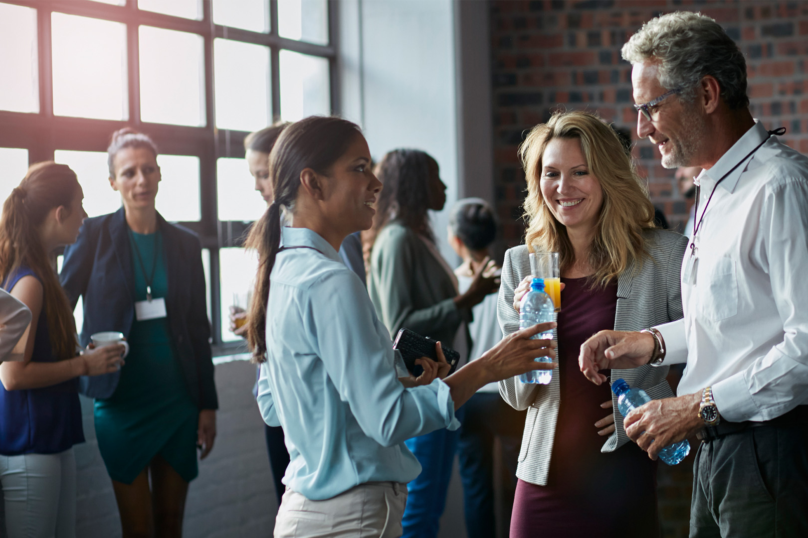 Chapters and Councils