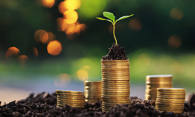 Sustainable Business Management