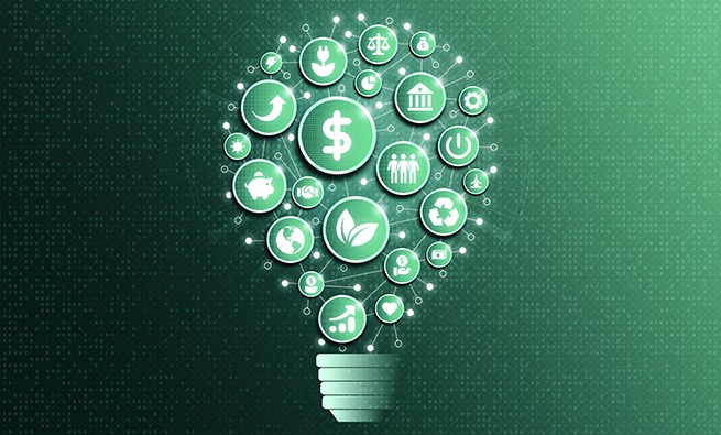 green coins forming a lamp bulb