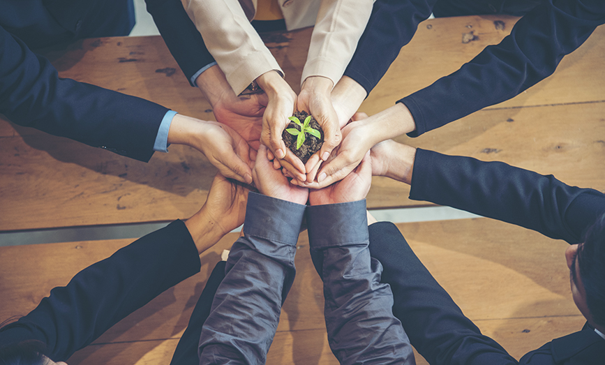 hands holding a growing plant