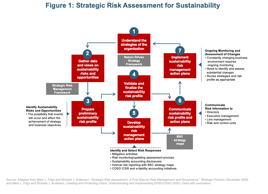 Figure 1: Strategic Risk Assessment for Sustainability