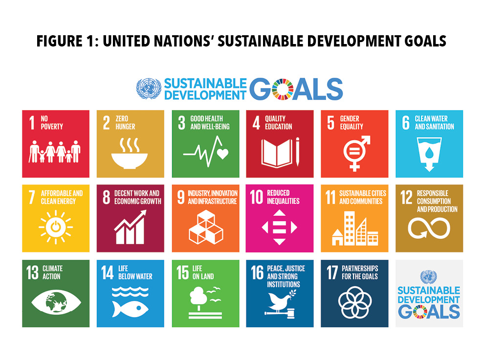 Figure 1: United Nations: Sustainable Development Goals