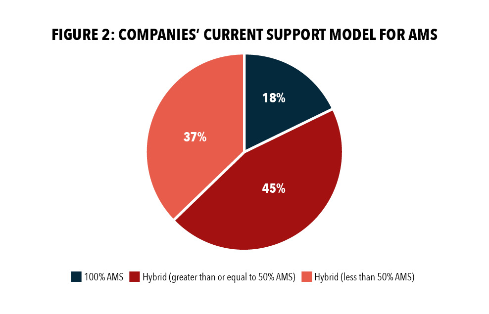 Figure 2: Companies' Current Support Model For AMS