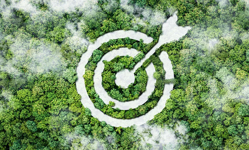 An illustration of a forest with a bullseye cut out